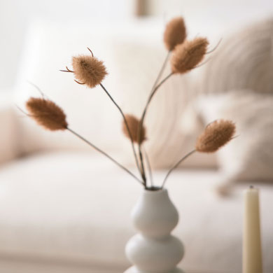 Roomio - die neue Marke jetzt bei Interliving FREY Roomio - die neue Marke jetzt bei Interliving FREY