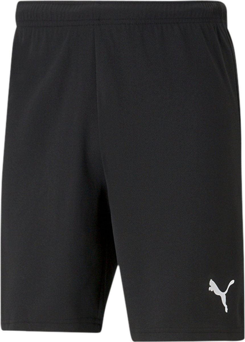 Shorts "teamRISE"