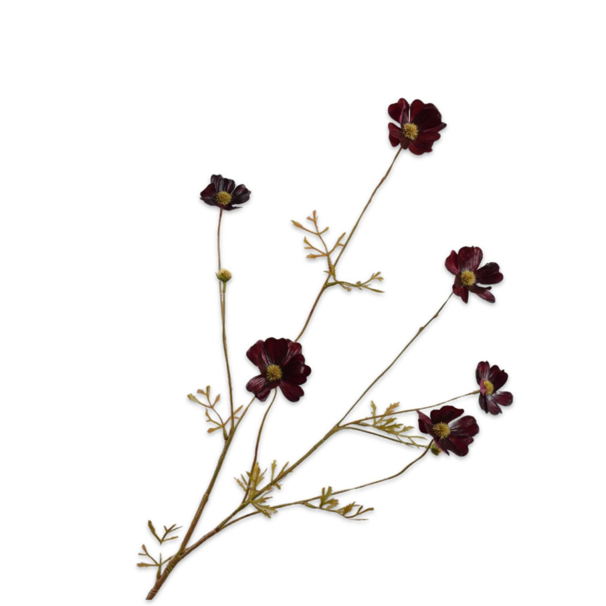 Kunstzweig "Cosmos"