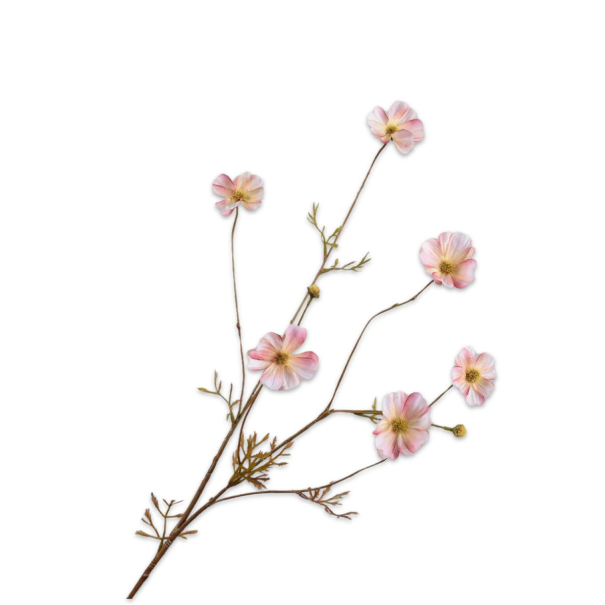 Kunstzweig "Cosmos"