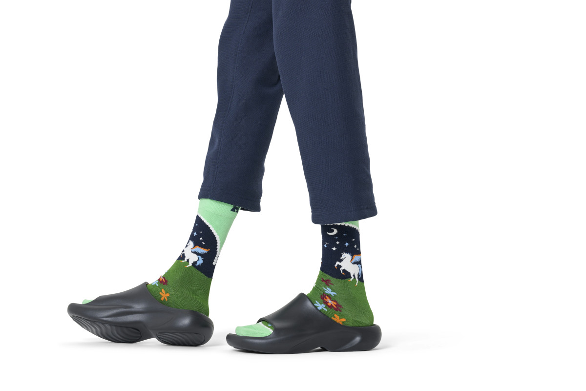 Socken "Pegaus Land"