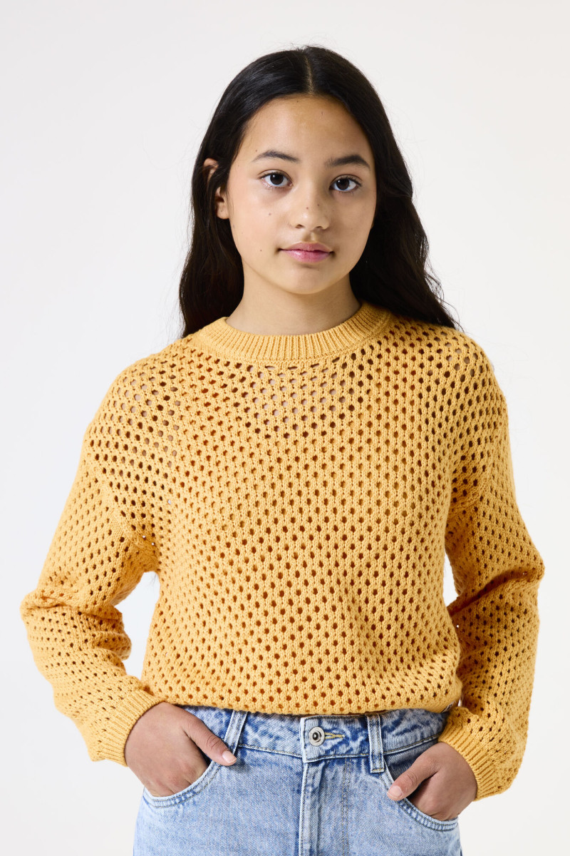 Strickpullover