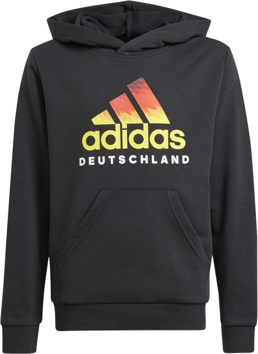 DFB Fansweatshirt