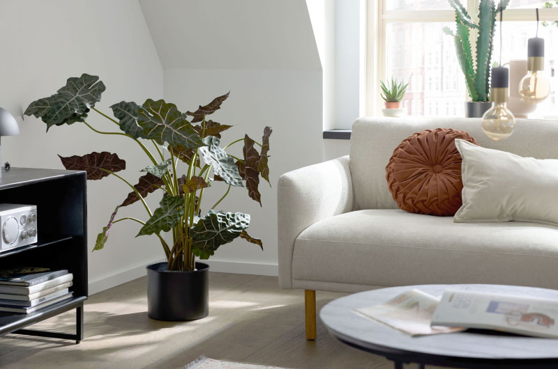 Roomio - die neue Marke jetzt bei Interliving FREY Roomio - die neue Marke jetzt bei Interliving FREY